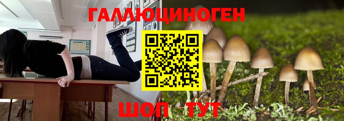 Острогожск  Галлюциногенные грибы ЛСД  дарнет шоп  Вход с VPN 
