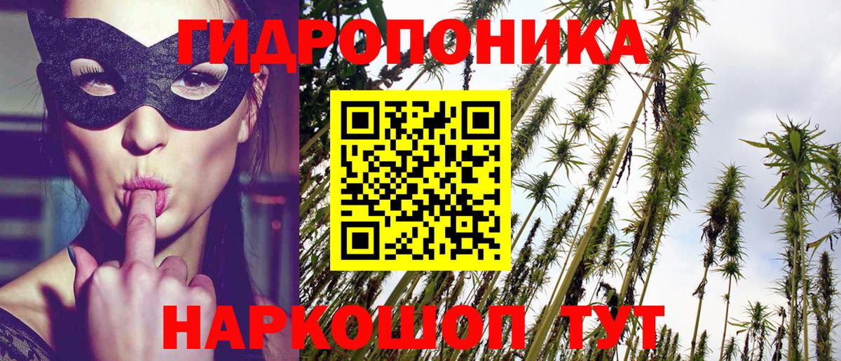 Каннабис White Widow  Канабис план  Каннабис THC 21%  Вход с VPN  Каннабис Bruce Banner  Острогожск 